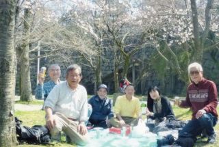 大阪城花見のお知らせ