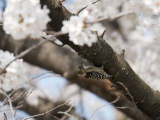 今日の散歩道から…　　暇～人