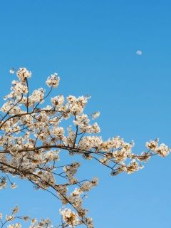 やっぱり空は青くなくっちゃ　　暇～人