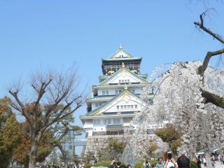 大阪城花見行ってきました。　　出舞　　