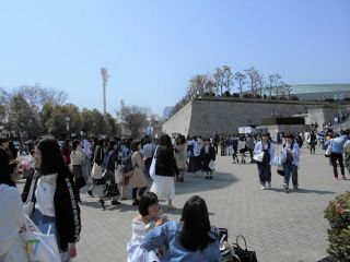 大阪城花見　ｐ2