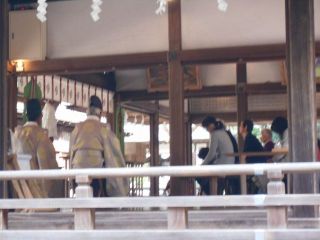 4月に入りました　　　　　出舞