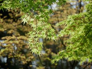 朝の散歩道から…　暇～人