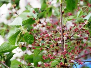 夕方に近所をぶらり…　暇～人