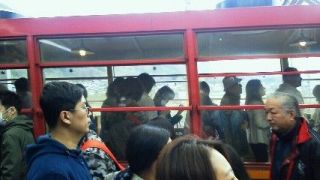 トロッコ列車・舟遊び