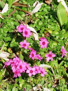 今日の散歩道から…　　暇～人