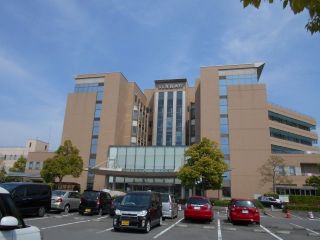 ごろちゃん緊急入院　及び　状況報告