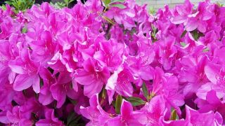 ゴールデンウィーク2018