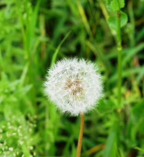 ネタ枯れ　　暇～人