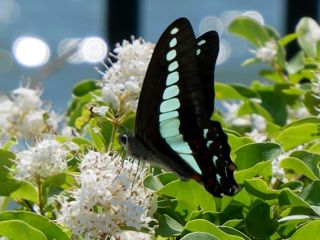 今日の散歩道から…　　暇～人