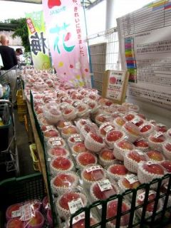 和歌山ＪＡ　「めっけもん広場」に買い出し　　　　出舞
