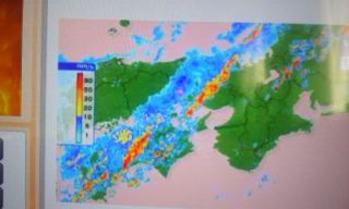 お元気ですかい