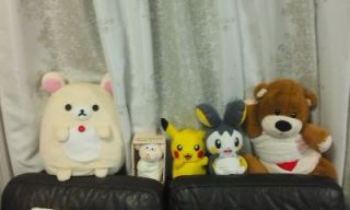 ムジナ達のつどい