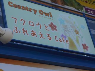 ごろちゃん　またまた入院　　　出舞