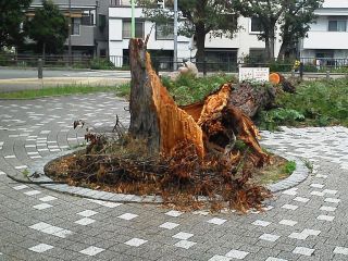今日の散歩道から…　　暇～人