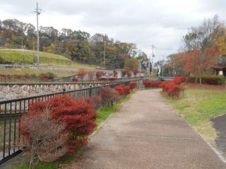 天の川周辺散策　　　出舞