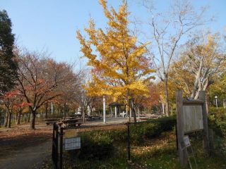 芋煮会⇒守口会⇒たかちゃん