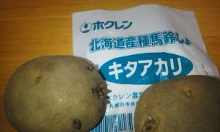 ひとり農業　じゃがいも