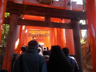 伏見稲荷初午祭　ｐ1