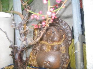 もうすぐ春です