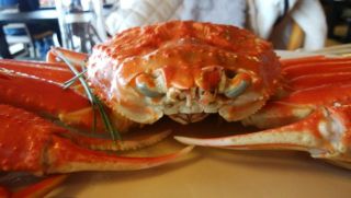 食べるカニ～？