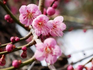 天気が良いのでちょっと近所を散歩‥　暇～人