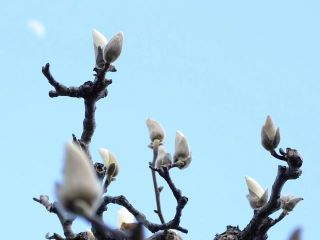 近所をぶらり散歩　暇～人