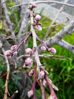 夕方近所をぶらり散歩　暇～人