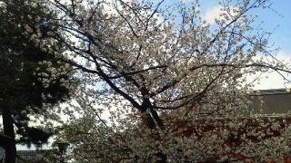 八坂神社・高台寺