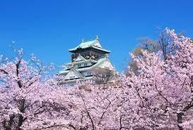 大阪城花見　参加者中間報告