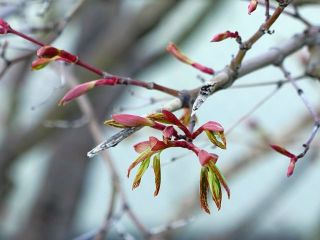 天気がいいので近所をぶらり散歩　　暇～人