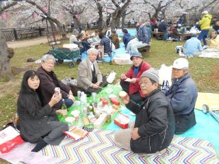 大阪城　花見　