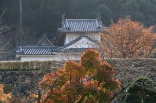 日本の名城めぐり㉚