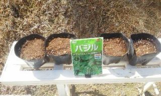 ひとり農業　葉物　種蒔き収穫　