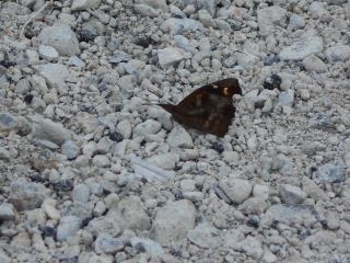 安心・安心・安心の一日