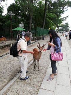 ならまち歩き　番外編