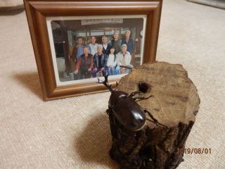 今日のソラーテ  (今日から8月）