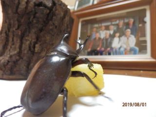 今日のソラーテ　8月1日　夕方　7時