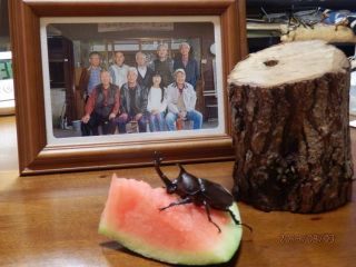 今日のソラーテ君　8/3