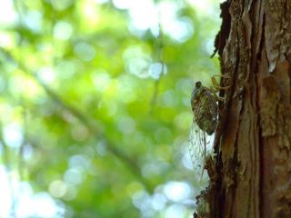 竜田川散策　　　秋立ちぬ