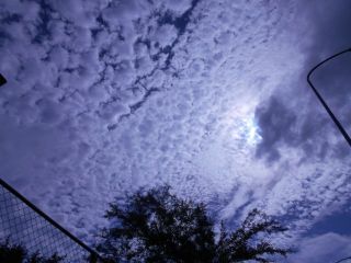 風立ちぬ　今は秋　今日から私は心の旅人