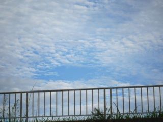 夕方に近所をぶらり散歩（うえ爺に先に越された編）　暇～人