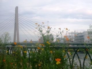 近所をぶらり散歩　暇～人