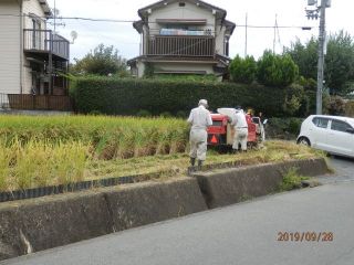 稲刈り始まる