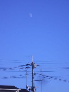 秋日和　竜田川散歩