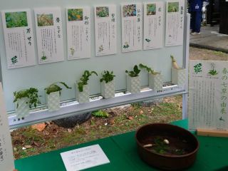 今日は七草粥　暇～人