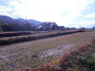 歩け　歩け　歩け　！！！　ｐ2