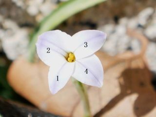 おらも見つけたぞ～　暇～人