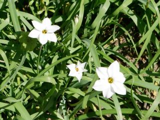 近所をぶらり散歩　暇～人