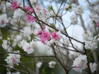 気になったのでもう一度‥　暇～人